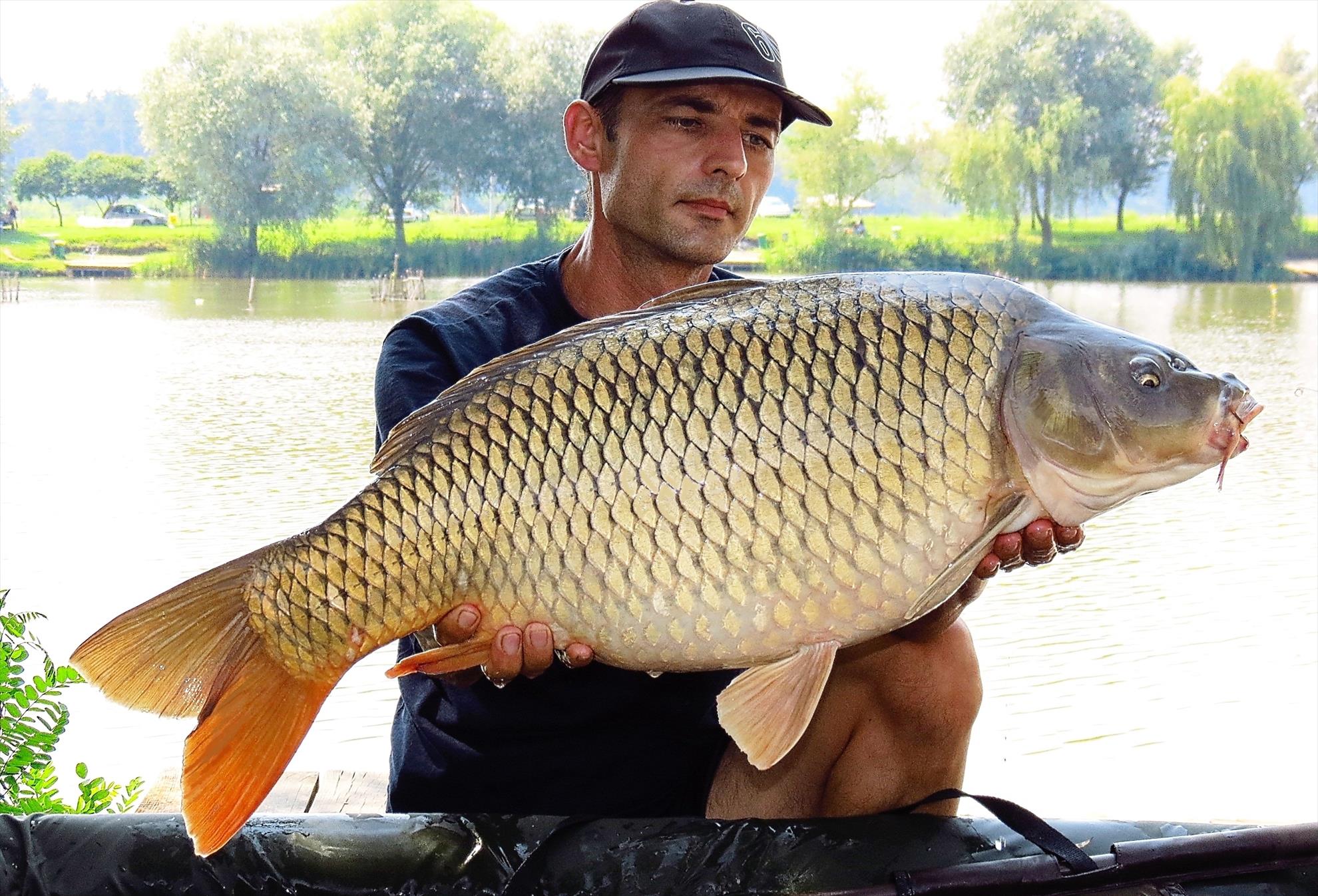 Palici - 005-img5968---1093-kg.jpg